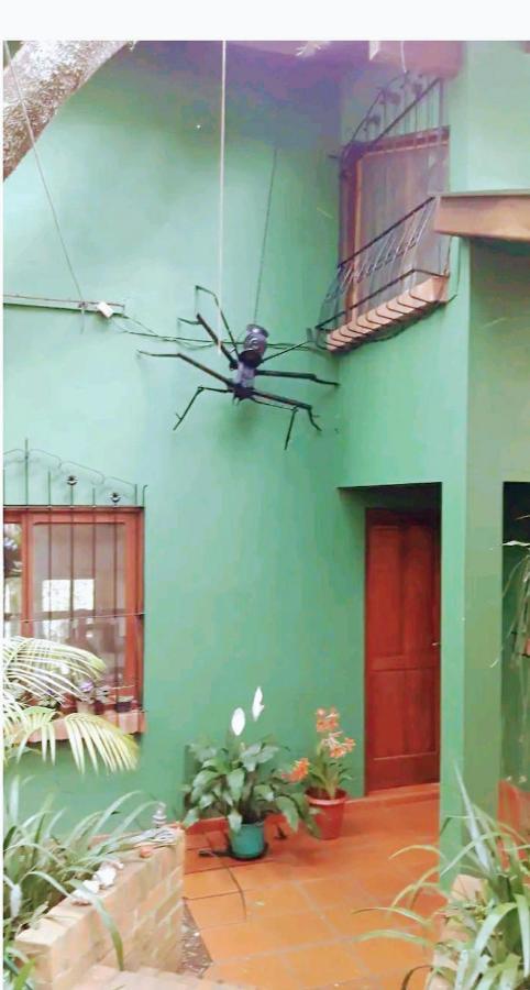 شقة Jardin De Naipi 3 بويرتو إجوازو المظهر الخارجي الصورة