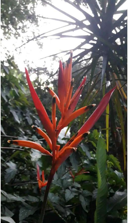 شقة Jardin De Naipi 3 بويرتو إجوازو المظهر الخارجي الصورة