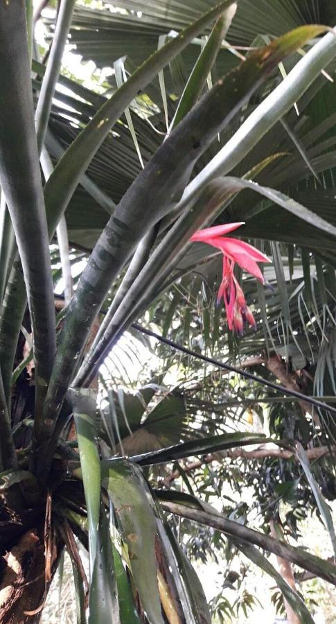 شقة Jardin De Naipi 3 بويرتو إجوازو المظهر الخارجي الصورة
