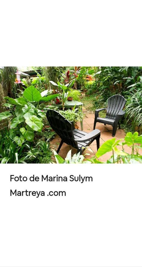 شقة Jardin De Naipi 3 بويرتو إجوازو الغرفة الصورة